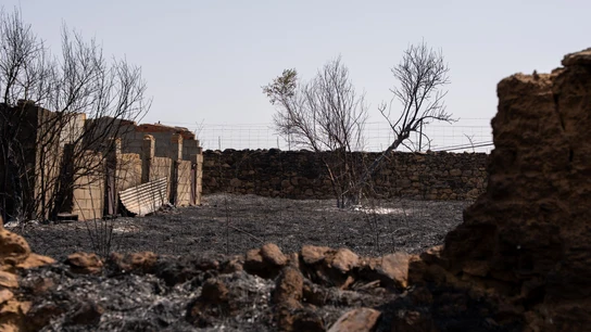 Terreno calcinado por el incendio en Navalmoralejo (Toledo). Terreno calcinado por el incendio en Navalmoralejo (Toledo)