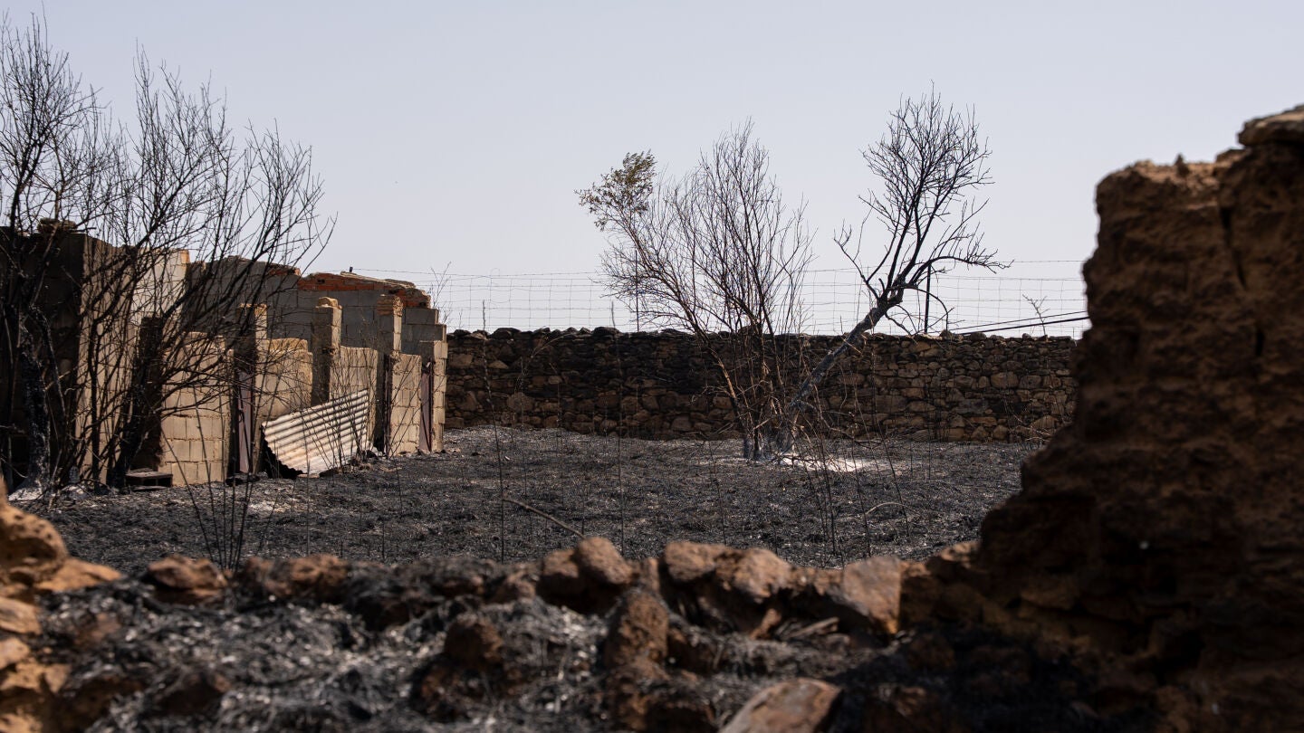 Terreno calcinado por el incendio en Navalmoralejo (Toledo)