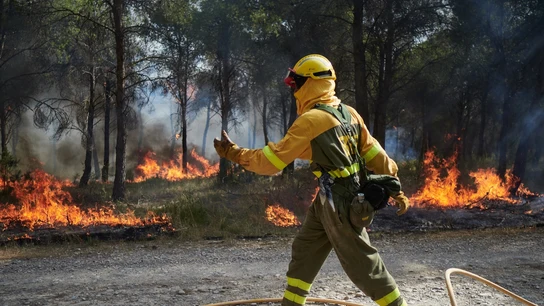 Por qué hay tantos incendios en España? Se expanden más rápido y el cambio climático es uno de los culpables Por qué hay tantos incendios en España? Se expanden más rápido y el cambio climático es uno de los culpables