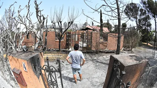 Un hombre contempla este martes una zona afectada por el incendio que desde ayer afecta a la localidad de Tres Cantos, Madrid, que ya está perimetrado y evoluciona favorablemente. Un hombre contempla este martes una zona afectada por el incendio que desde ayer afecta a la localidad de Tres Cantos, Madrid, que ya está perimetrado y evoluciona favorablemente.