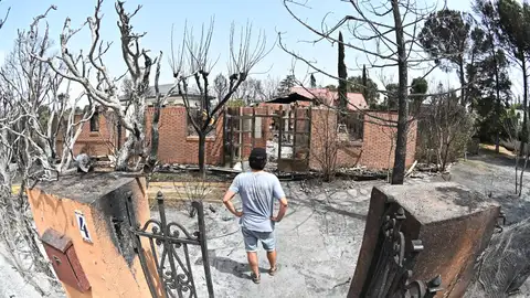 Un hombre contempla este martes una zona afectada por el incendio que desde ayer afecta a la localidad de Tres Cantos, Madrid, que ya está perimetrado y evoluciona favorablemente. Un hombre contempla este martes una zona afectada por el incendio que desde ayer afecta a la localidad de Tres Cantos, Madrid, que ya está perimetrado y evoluciona favorablemente.