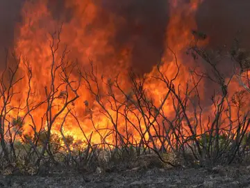 Incendio Incendio