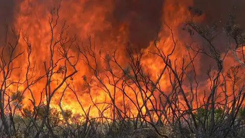 Incendio Incendio