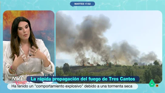 Joanna Ivars explica qué ha propiciado la rápida propagación del fuego en Tres Cantos: "Se dieron las condiciones perfectas" La meteoróloga de laSexta indica que, por ejemplo, se ha dado una sequía térmica, donde el calor se intesifica y provoca que todo se seque, tanto el suelo como la vegetación.