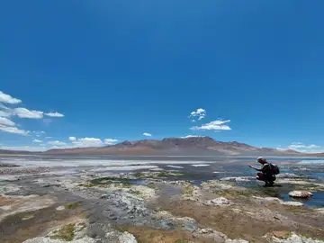 Las amebas tecadas proliferan tanto en lagunas dulces como saladas Las amebas tecadas proliferan tanto en lagunas dulces como saladas