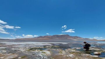 Las amebas tecadas proliferan tanto en lagunas dulces como saladas