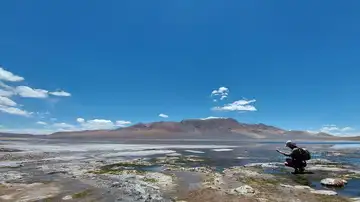 Las amebas tecadas proliferan tanto en lagunas dulces como saladas Las amebas tecadas proliferan tanto en lagunas dulces como saladas