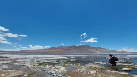 Las amebas tecadas proliferan tanto en lagunas dulces como saladas Las amebas tecadas proliferan tanto en lagunas dulces como saladas