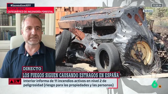 Víctor Resco destaca cuál es la "única solución" ante los incendios: "Necesitamos un pacto de Estado" Víctor Resco destaca cuál es la "única solución" ante los incendios: "Necesitamos un pacto de Estado"