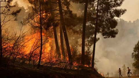 Un incendio forestal declarado en Larouco (Ourense), en agosto de 2025