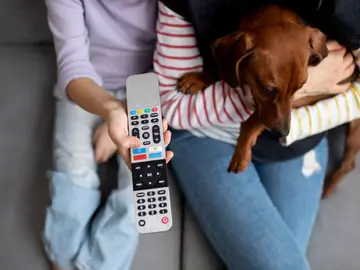 Familia viendo la televisión con su perro Familia viendo la televisión con su perro