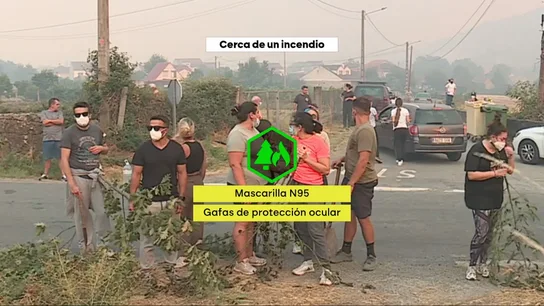Los incendios, devastadores para el monte y para la salud: la alta exposición a las partículas de humo presenta un 93% de mortalidad Los incendios, devastadores para el monte y para la salud: la alta exposición a las partículas de humo presenta un 93% de mortalidad