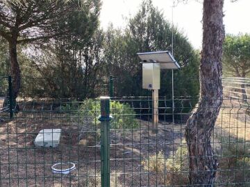Estudian t&eacute;cnicas para medir c&oacute;mo se infiltra el agua subterr&aacute;nea en Do&ntilde;ana