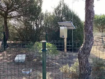 Estudian técnicas para medir cómo se infiltra el agua subterránea en Doñana Estudian técnicas para medir cómo se infiltra el agua subterránea en Doñana