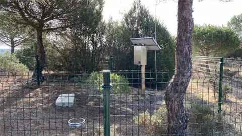 Estudian técnicas para medir cómo se infiltra el agua subterránea en Doñana Estudian técnicas para medir cómo se infiltra el agua subterránea en Doñana