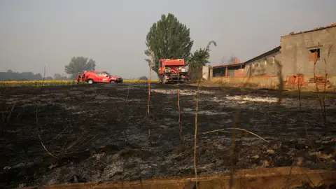 Furgonetas y camiones de la UME, en tierra quemada tras un incendio en tierra quemada Furgonetas y camiones de la UME, en tierra quemada tras un incendio en tierra quemada