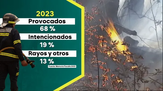 Incendios accidentales, intencionados y por otras causas en 2023 Incendios accidentales, intencionados y por otras causas en 2023