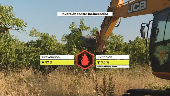 Gasto en prevención vs gasto en extinción Gasto en prevención vs gasto en extinción