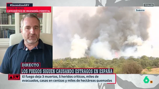 El catedrático Víctor Resco advierte sobre los incendios: "Esto es el tráiler de lo que vamos a ver si seguimos como estamos" El catedrático Víctor Resco advierte sobre los incendios: "Esto es el tráiler de lo que vamos a ver si seguimos como estamos"