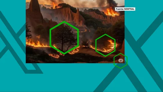 Los bulos sobre los incendios se extienden en redes sociales Los bulos sobre los incendios se extienden en redes sociales