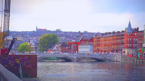 Cork Cork