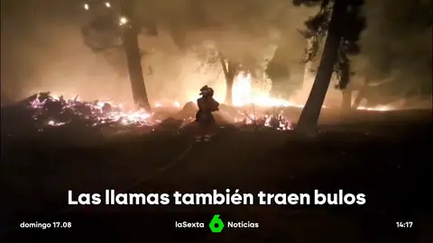 Bulos e imágenes manipuladas invaden las redes sociales mientras los incendios arrasan España Bulos e imágenes manipuladas invaden las redes sociales mientras los incendios arrasan España