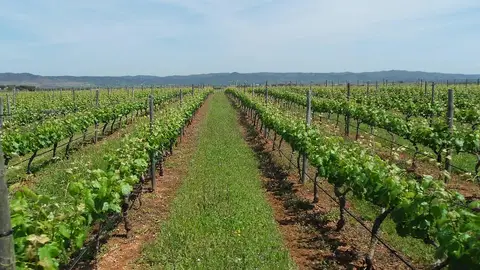 Alentejo Alentejo