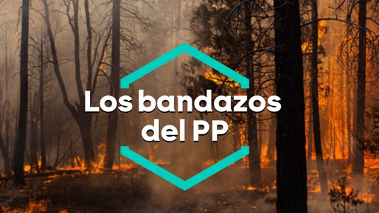 Los bandados del PP en los incendios forestales Los bandados del PP en los incendios forestales