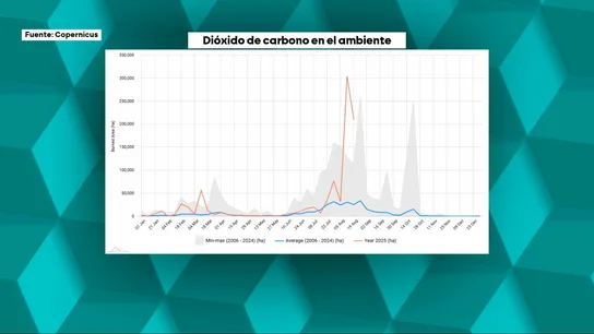 Los graves efectos del humo en nuestra salud: "Los bronquios se cierran más, hay más mucosidad y puede haber crisis" Los graves efectos del humo en nuestra salud: "Los bronquios se cierran más, hay más mucosidad y puede haber crisis"