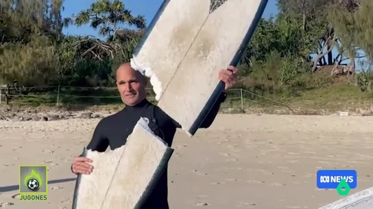 Bocado surfista Bocado surfista