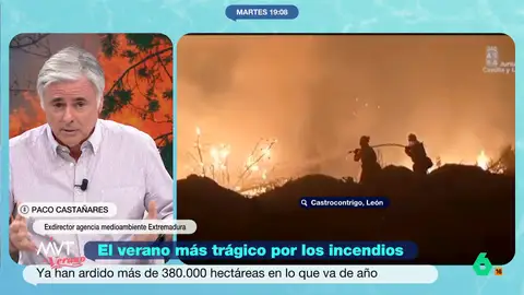 Paco Castañares, experto forestal: Paco Castañares, experto forestal: