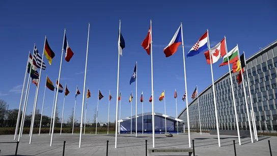 Banderas de los miembros de la OTAN en la sede en Bruselas. Banderas de los miembros de la OTAN en la sede en Bruselas.