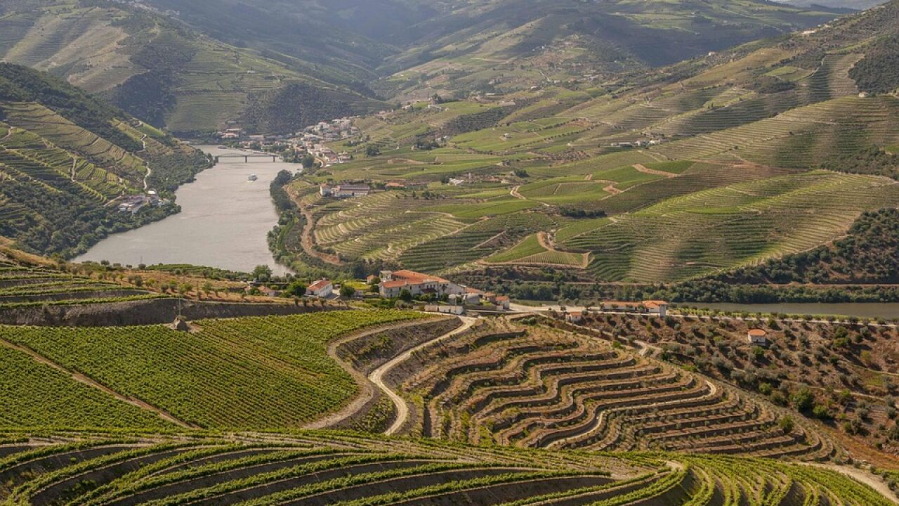 3 escapadas enoturísticas a Portugal (vendimia incluida)