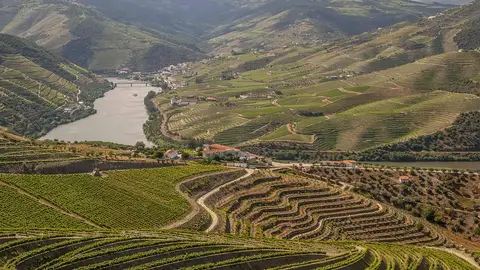 Región vinícola del Duero Región vinícola del Duero