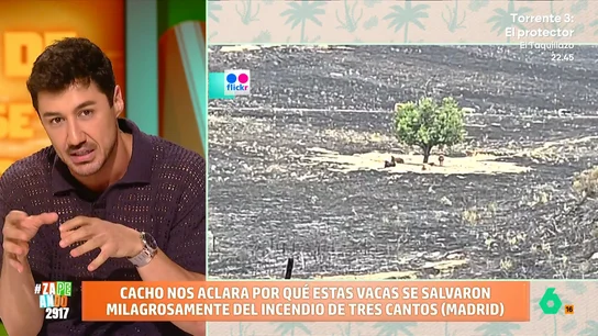 Francisco Cacho explica el "círculo mágico" en el incendio de Tres Cantos: "Ocurre siempre que hay animales en el monte" En pleno incendio de Tres Cantos, un grupo de vacas se salvó dentro de un círculo alrededor de un árbol que, misteriosamente, no se quemó. Francisco Cacho explica el motivo detrás de este 'milagro'.