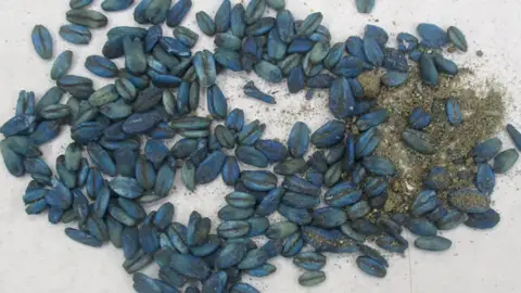 Cebo rodenticida Cebo rodenticida