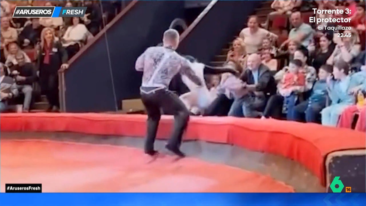 El impactante vídeo del mono que intenta secuestrar a un niño en el circo