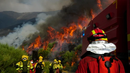 Efectivos de la UME en el incendio de Jarilla. Efectivos de la UME en el incendio de Jarilla.