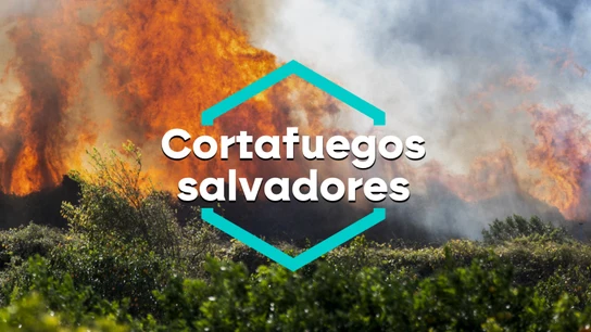 Cortafuegos Cortafuegos