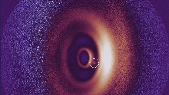 Imagen de un disco polvoriento alrededor de una estrella joven. Entre los múltiples anillos concéntricos vemos un pequeño punto de luz (indicado por un círculo blanco). Imagen de un disco polvoriento alrededor de una estrella joven. Entre los múltiples anillos concéntricos vemos un pequeño punto de luz (indicado por un círculo blanco).