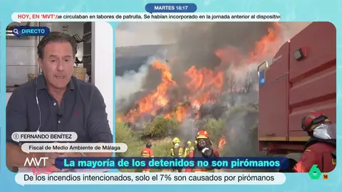 El fiscal Fernando Benítez desmonta el registro de pirómanos de Feijóo: "Eficacia práctica no tiene ninguna" Fernando Benítez, fiscal de Medio Ambiente de Málaga, analiza en Más Vale Tarde el registro de pirómanos que propone Feijóo y explica que, en sus 18 años de carrera, "no he conocido a ningún pirómano".