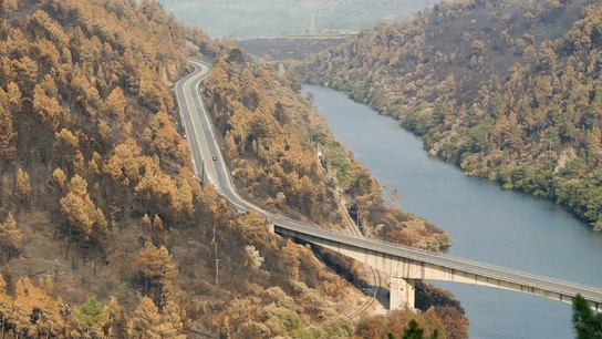 Vista del campo quemado tras el incendio, a 24 de agosto de 2025, en Seadur, Ourense, Galicia (España). Vista del campo quemado tras el incendio, a 24 de agosto de 2025, en Seadur, Ourense, Galicia (España).
