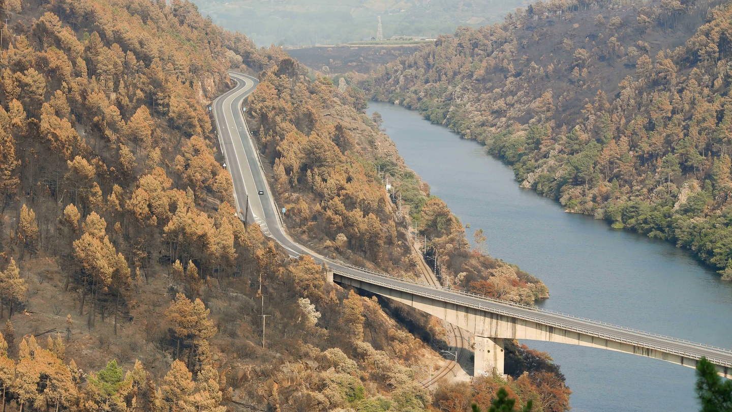 Vista del campo quemado tras el incendio, a 24 de agosto de 2025, en Seadur, Ourense, Galicia (España). Vista del campo quemado tras el incendio, a 24 de agosto de 2025, en Seadur, Ourense, Galicia (España).