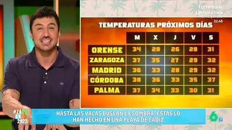 Francisco Cacho trae buenas noticias para el tiempo de esta semana: "Vamos a decir adiós al calor durante unos días" Francisco Cacho trae buenas noticias para el tiempo de esta semana: "Vamos a decir adiós al calor durante unos días"
