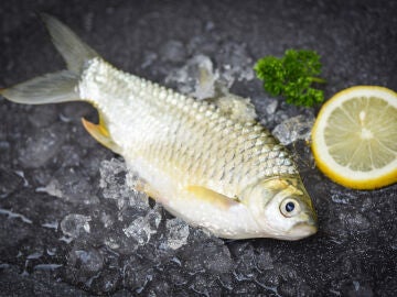 Pescado crudo