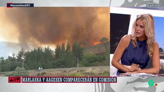 Afra Blanco recuerda las palabras de Feijóo cuando era presidente de la Xunta: "En 2017 dijo que despedir a 476 brigadistas no afectaba a la lucha contra el fuego" Afra Blanco recuerda las palabras de Feijóo cuando era presidente de la Xunta: "En 2017 dijo que despedir a 476 brigadistas no afectaba a la lucha contra el fuego"