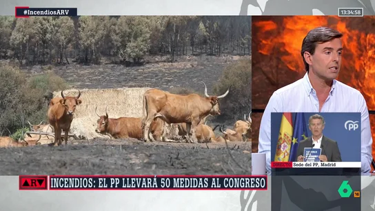 Pablo Montesinos, sobre Feijóo: "Si el PP plantea soluciones y el Gobierno quiere un acuerdo de Estado, ¿por qué es tan difícil que se sienten?" Pablo Montesinos, sobre Feijóo: "Si el PP plantea soluciones y el Gobierno quiere un acuerdo de Estado, ¿por qué es tan difícil que se sienten?"