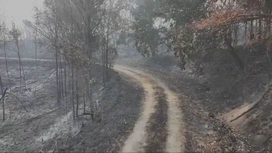 Incendios en Ourense. Incendios en Ourense.