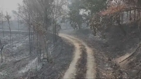 Incendios en Ourense. Incendios en Ourense.
