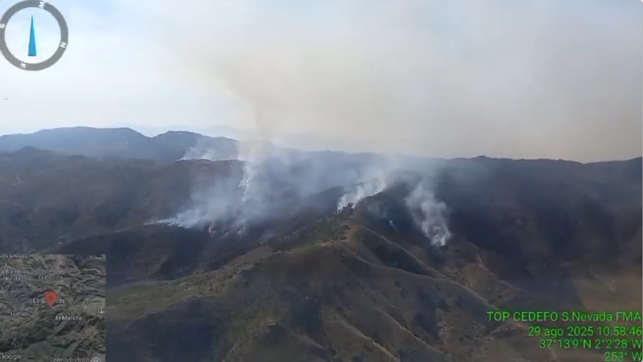 Medios aéreos y terrestres trabajan para combatir el fuego de Lubrín (Almería), que afronta una jornada con condiciones desfavorables